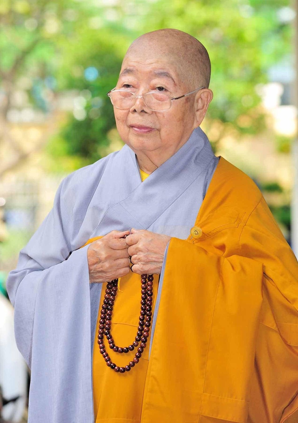 Chân dung Ni trưởng Thích nữ Như Đức Chân dung Ni trưởng Thích nữ Như Đức