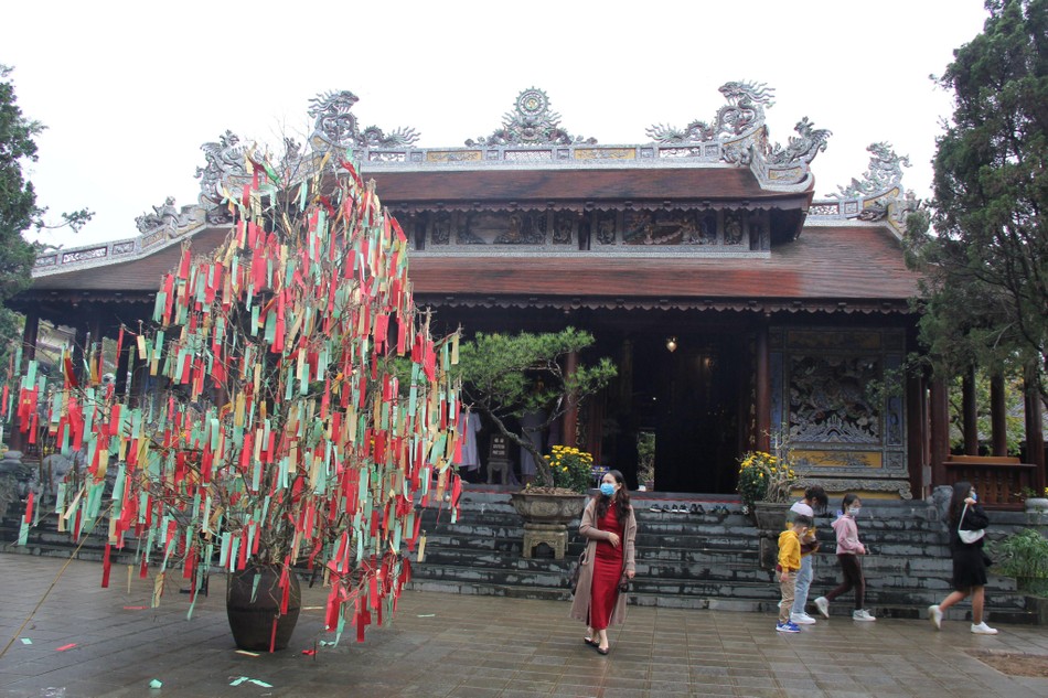 Cây ước nguyện mùa xuân trước chánh điện chùa Từ Hiếu