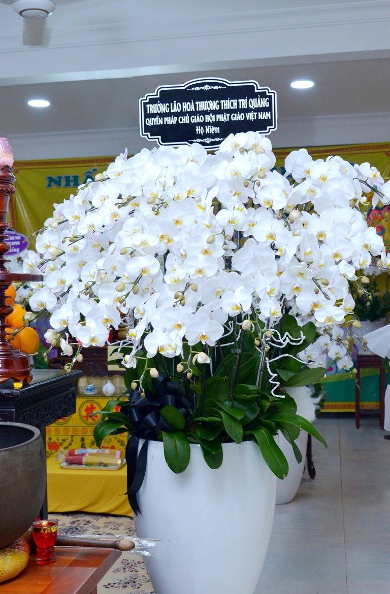 Hoa viếng cư sĩ Tống Hồ Cầm có dòng chữ &quot;Trưởng lão Hòa thượng Thích Trí Quảng, Quyền Pháp chủ GHPGVN hộ niệm&quot;