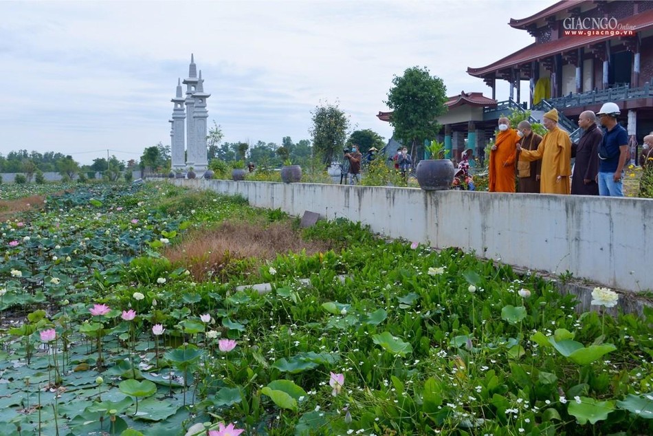 Hồ sen trước chánh điện mới