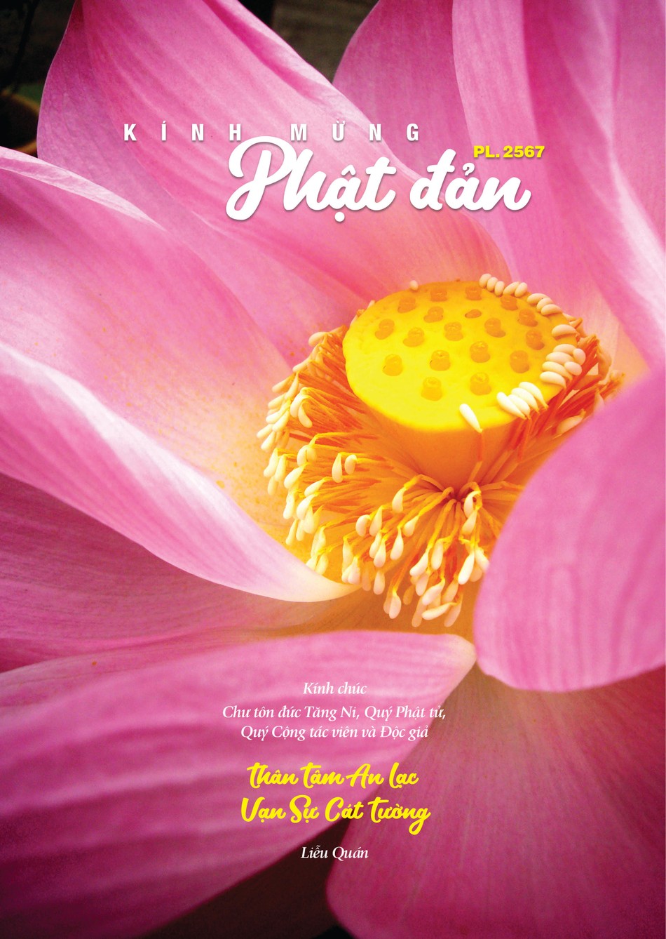 Mỹ thuật: Mai Quế Vũ