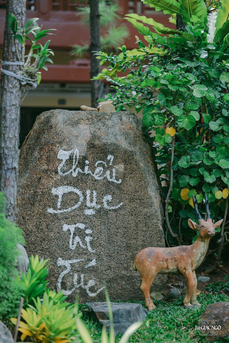 Hình ảnh do Phùng Anh Quốc thực hiện ngày 20-11-2023