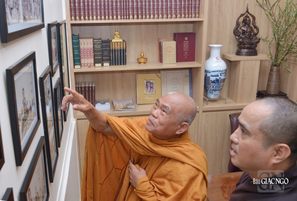 Những bức hình về những bước chuyển mình của báo