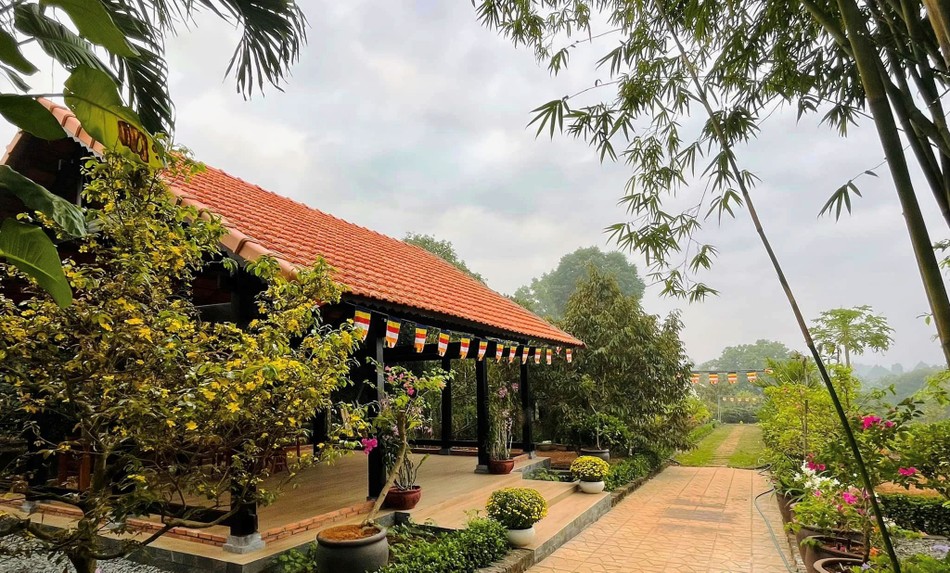 Ảnh: Tịnh Cốc Trà