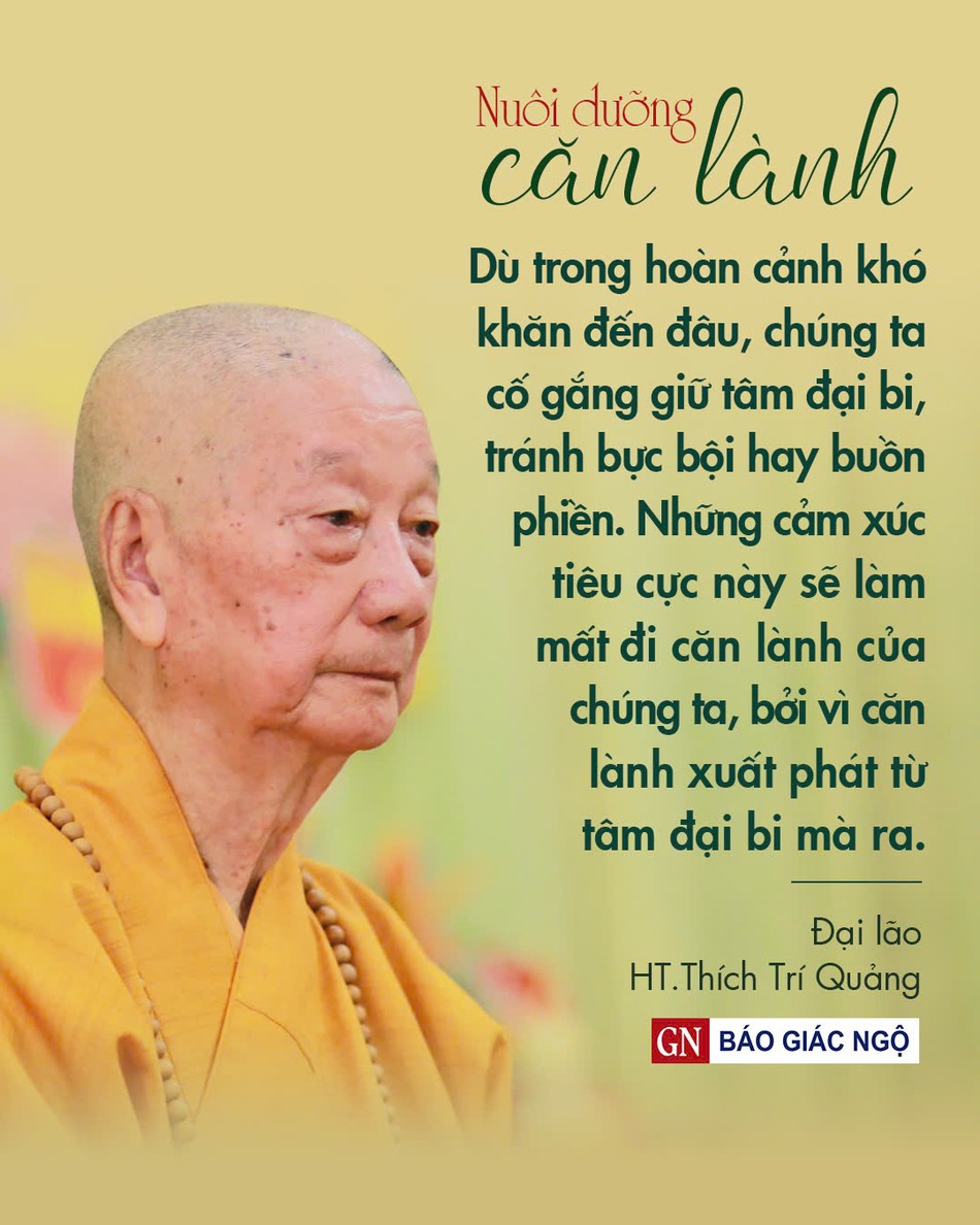 Thiết kế: Hoa Đạo/BGN Thiết kế: Hoa Đạo/BGN