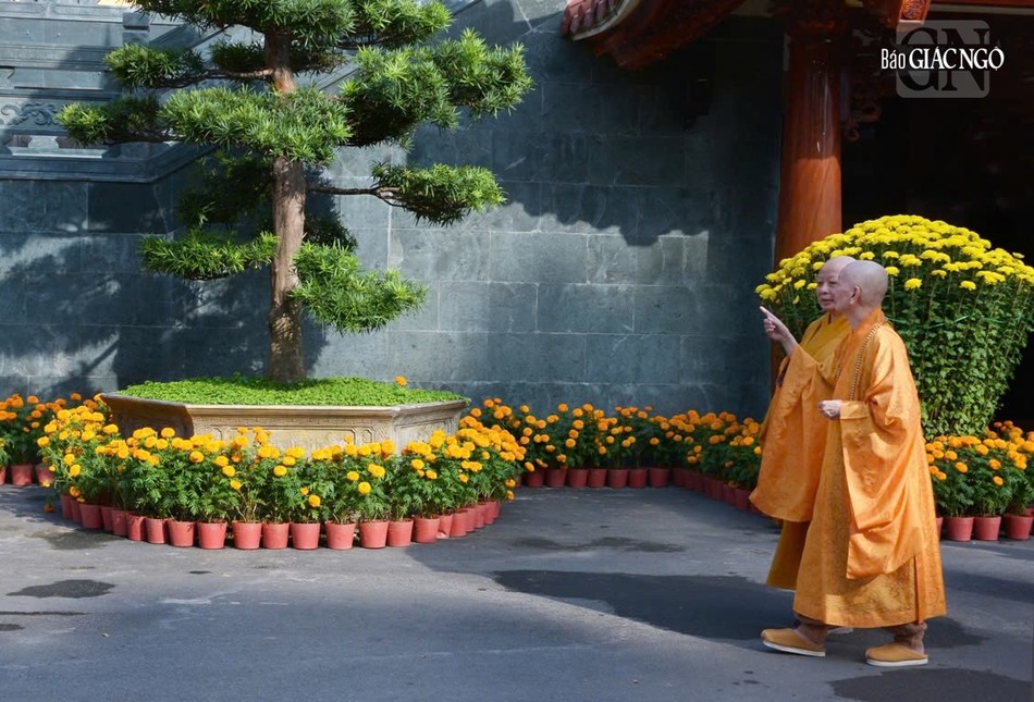 Việt Nam Quốc Tự là trung tâm văn hóa, hành chánh và tâm linh của Phật giáo TP.HCM được Đại lão Hòa thượng Thích Trí Quảng chủ trương kiến thiết mới hoàn toàn trong thời gian ngài đảm nhiệm Trưởng ban Trị sự GHPGVN TP.HCM Việt Nam Quốc Tự là trung tâm văn hóa, hành chánh và tâm linh của Phật giáo TP.HCM được Đại lão Hòa thượng Thích Trí Quảng chủ trương kiến thiết mới hoàn toàn trong thời gian ngài đảm nhiệm Trưởng ban Trị sự GHPGVN TP.HCM