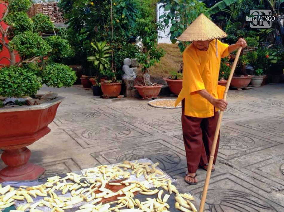 Đời sống thường nhật của ngài tại tổ đình Kim Huê: Nhất nhật bất tác, nhất nhật bất thực!