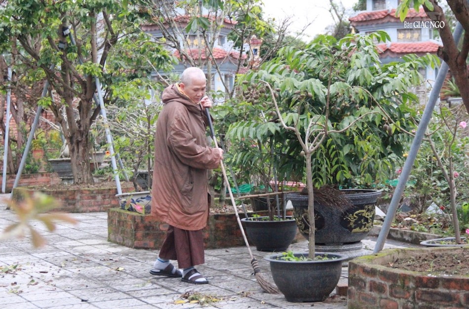 "Các vị đến thăm chùa làm chúng con bỗng nhớ tới Sư bà, hồi tưởng lúc Sư bà còn tại thế, khách khứa tới lui thăm viếng” "Các vị đến thăm chùa làm chúng con bỗng nhớ tới Sư bà, hồi tưởng lúc Sư bà còn tại thế, khách khứa tới lui thăm viếng”