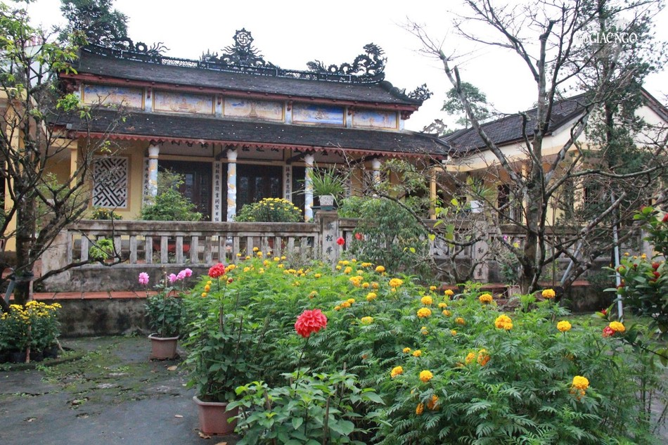 Hoa khoe sắc trong vườn chùa Hải Đức Hoa khoe sắc trong vườn chùa Hải Đức