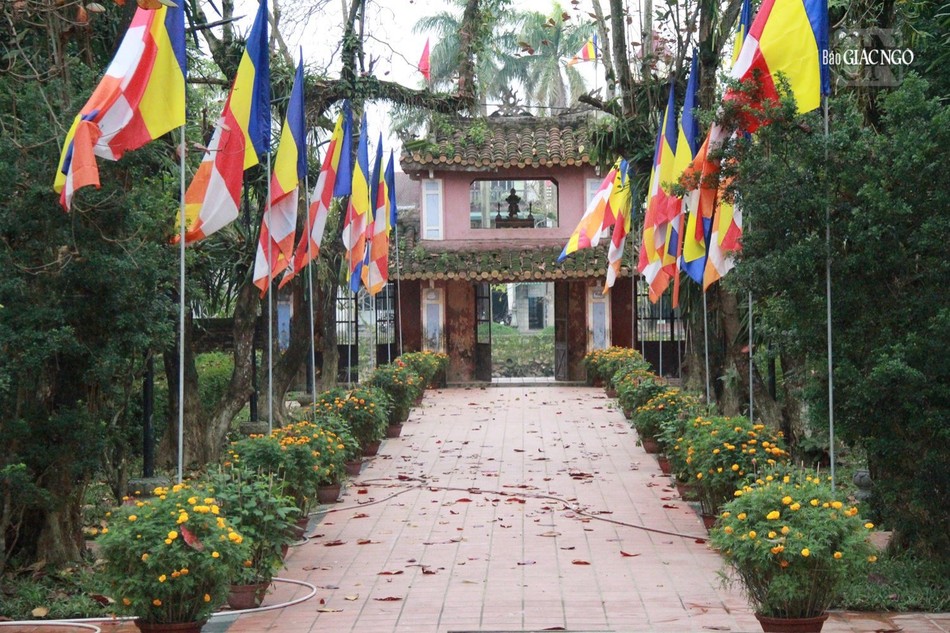 Rực rỡ cờ Phật giáo và hoa xuân dọc lối vào Diệu Đế Quốc tự Rực rỡ cờ Phật giáo và hoa xuân dọc lối vào Diệu Đế Quốc tự