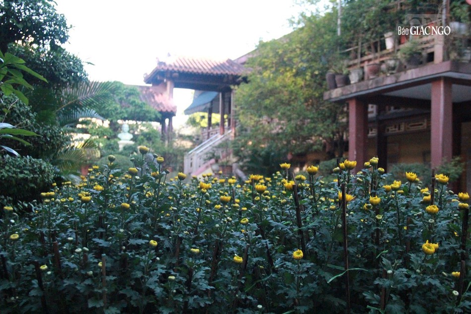 Chờ đón tân xuân Chờ đón tân xuân