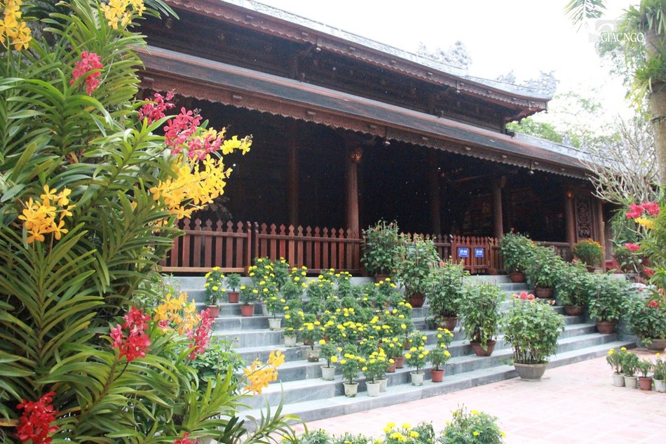 Sắc xuân bừng lên giữa tiết trời ảm đạm Sắc xuân bừng lên giữa tiết trời ảm đạm