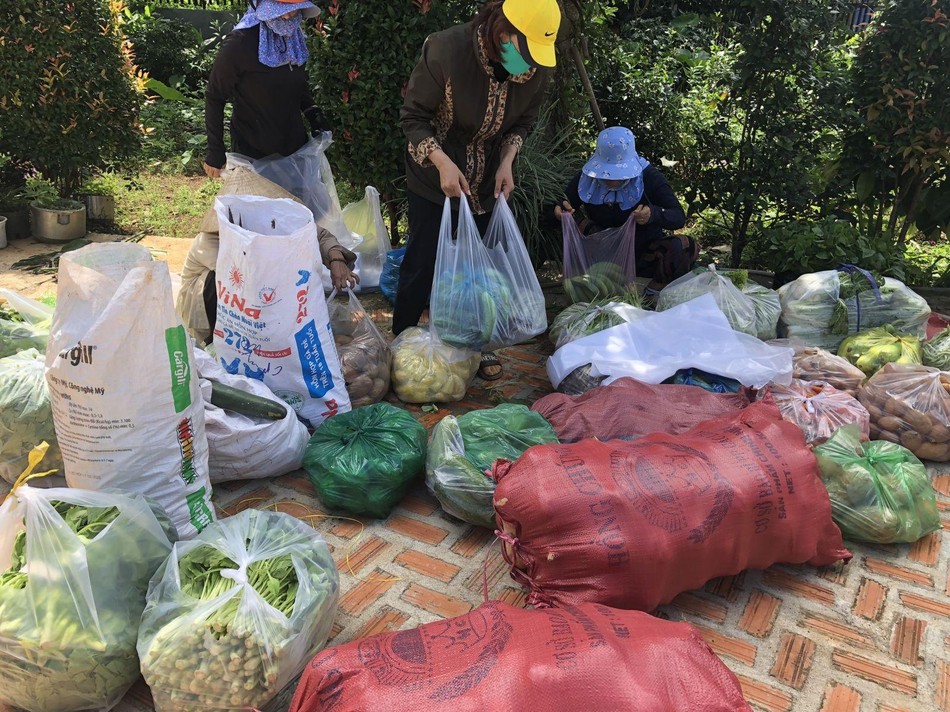 Các Phật tử không ngại khó khăn chung tay hỗ trợ góp rau củ quả cho vùng dịch Các Phật tử không ngại khó khăn chung tay hỗ trợ góp rau củ quả cho vùng dịch