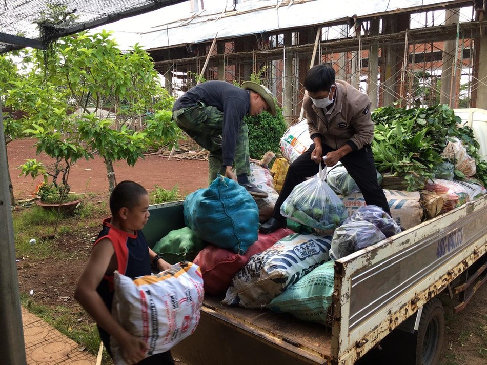 Gom rau củ quà từ Đắk R&apos;Lấp