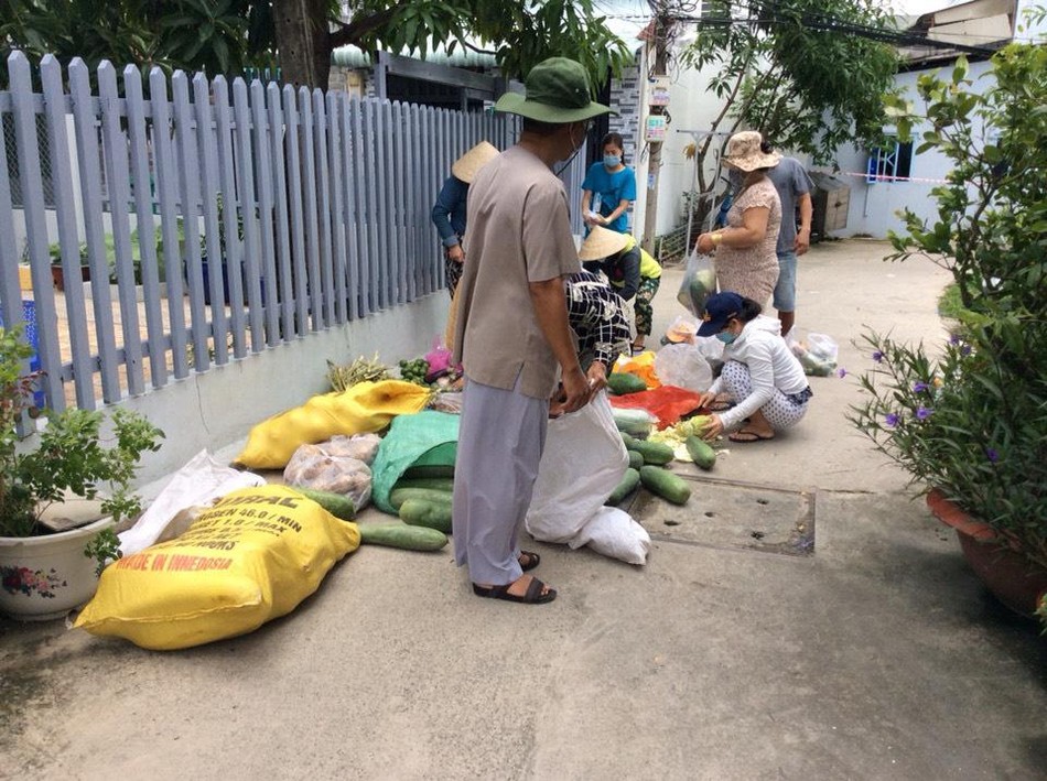 Các gia đình chọn rau củ quả do chùa Phước Tường, huyện Nhà Bè tặng Các gia đình chọn rau củ quả do chùa Phước Tường, huyện Nhà Bè tặng