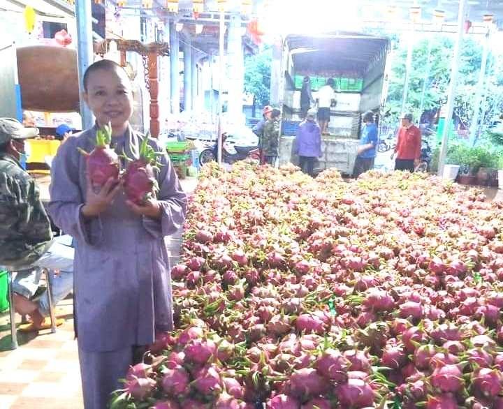 &quot;Đặc sản&quot; thanh long Bình Thuận được chùa Phước Minh gởi đến bà con khu cách ly TP.HCM