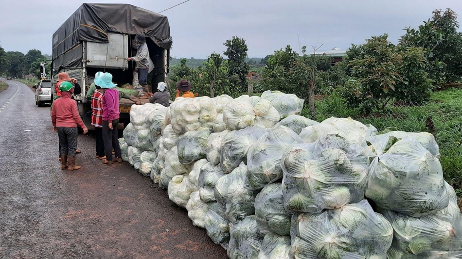 Ủng hộ rau củ, thực phẩm cho 4 bếp ăn 0 đồng trong bệnh viện và khu cách ly huyện Cư Jut Ủng hộ rau củ, thực phẩm cho 4 bếp ăn 0 đồng trong bệnh viện và khu cách ly huyện Cư Jut