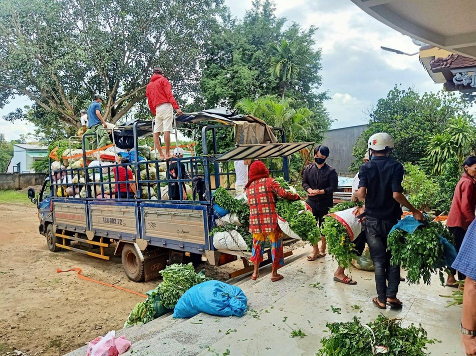 Vận chuyển nông sản để tặng đến bà con vùng dịch tỉnh Bình Dương Vận chuyển nông sản để tặng đến bà con vùng dịch tỉnh Bình Dương