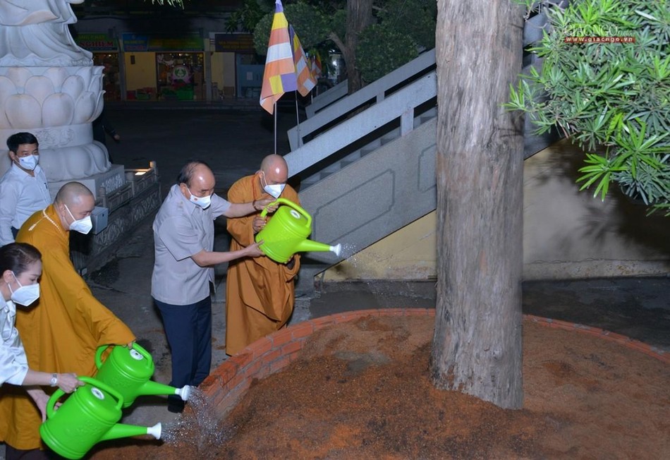 Trong khuôn viên chùa Vĩnh Nghiêm - Q.3, TP.HCM