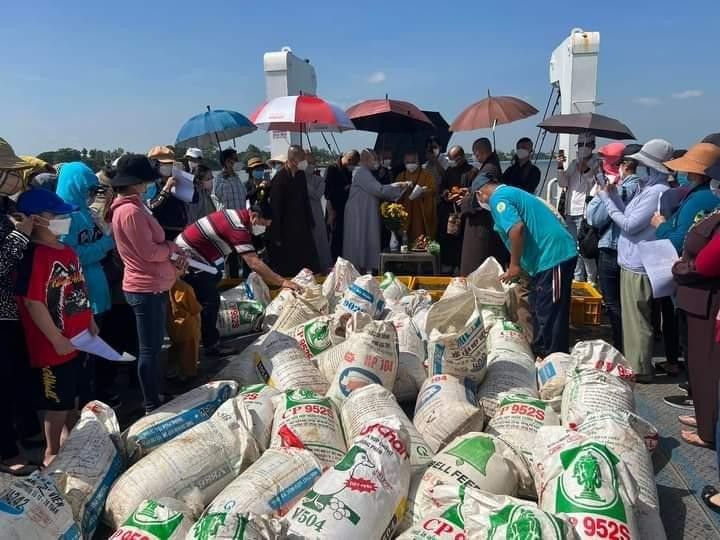 Phóng sinh cá ra sông Tiền