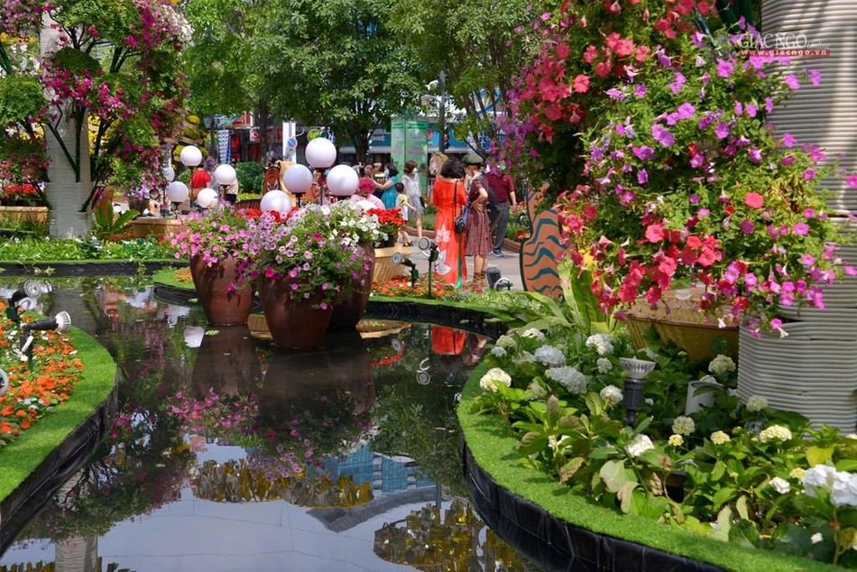 Sắc hoa ấm áp ngày cuối năm Tân Sửu