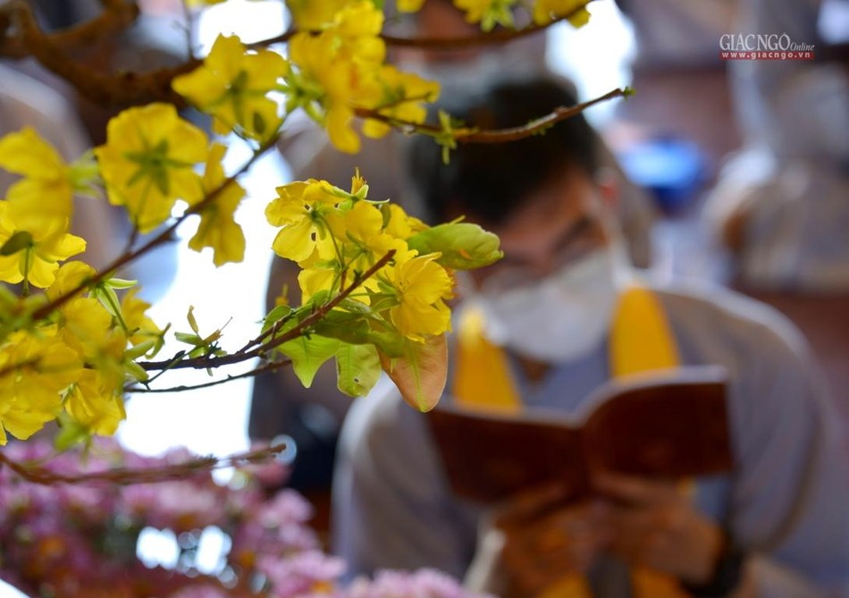 Cầu nguyện năm mới bình an Cầu nguyện năm mới bình an