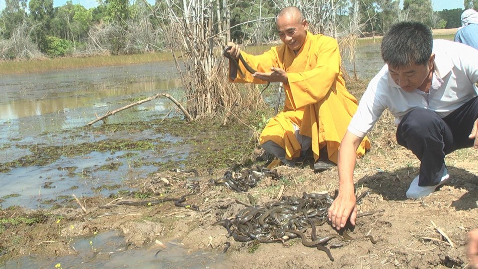 Thượng tọa Thích Thiện Quý thả các loài rắn về thiên nhiên Thượng tọa Thích Thiện Quý thả các loài rắn về thiên nhiên