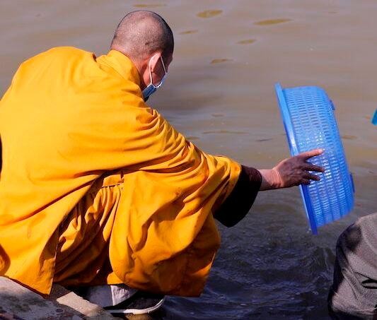 Thả cá về sông Nậm Rốm - tỉnh Điện Biên Thả cá về sông Nậm Rốm - tỉnh Điện Biên