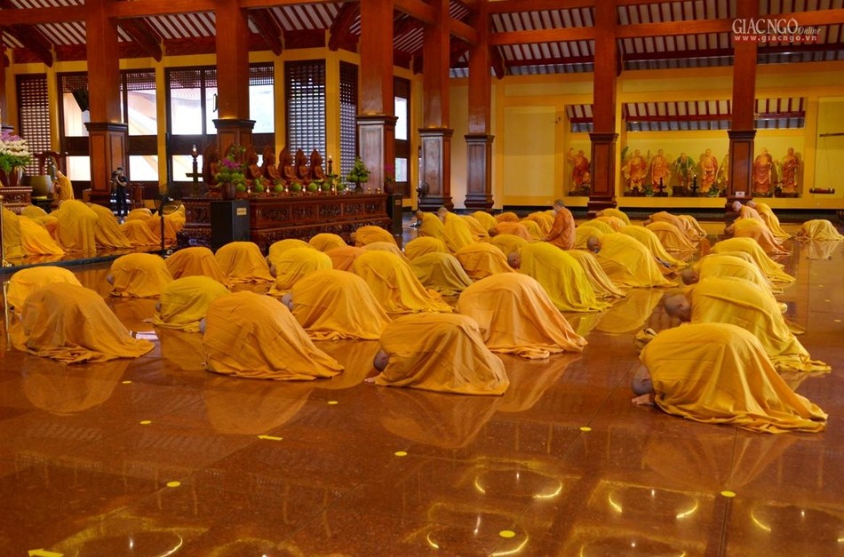 ... Đại chúng đảnh lễ Tam bảo, phát lồ sám hối theo pháp