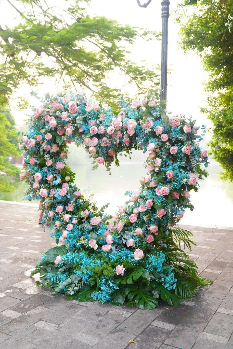 Hàng trăm nghìn bông hoa sen kết hình trái tim Hàng trăm nghìn bông hoa sen kết hình trái tim