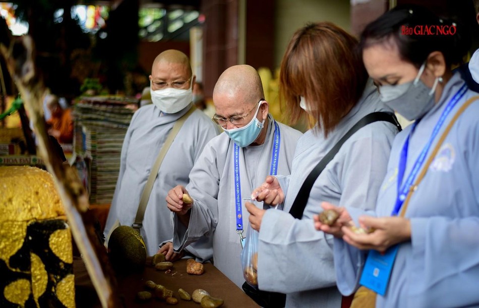 Chư Ni đại biểu thưởng lãm Chư Ni đại biểu thưởng lãm