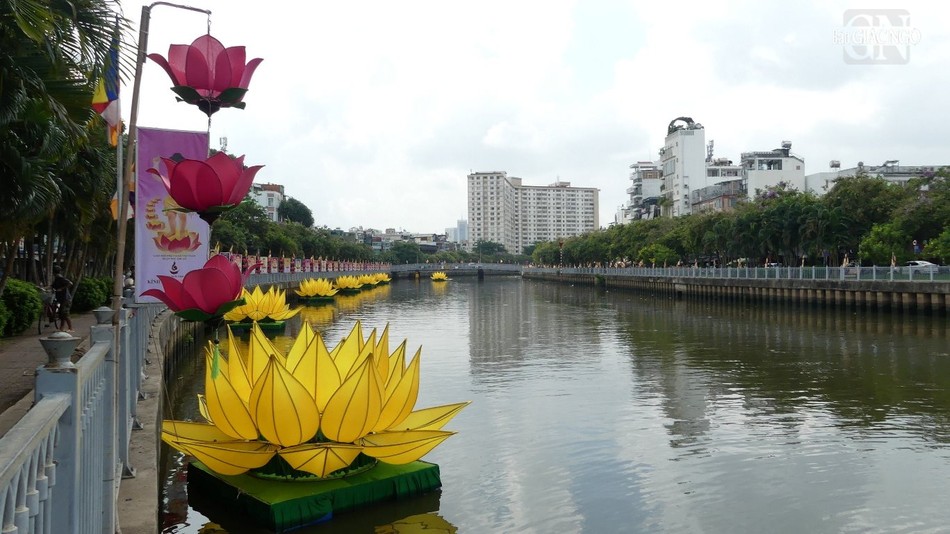 Sen được hạ thủy chuẩn bị đón mừng Phật đản