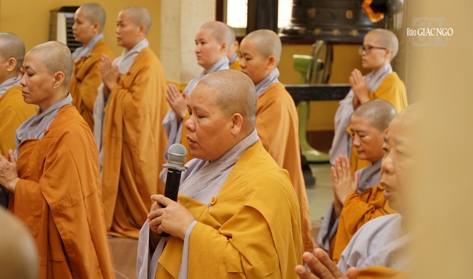 Các chương trình tu học về kinh, luật, luận cùng các thời thuyết giảng của chư tôn đức, hoạt động an sinh cũng được chư Ni thực hiện trong mùa an cư