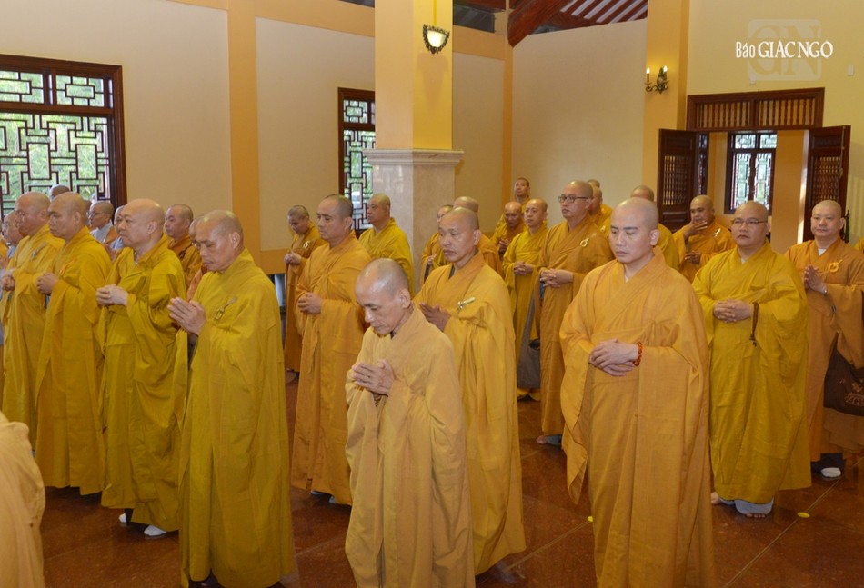 Thế hệ hôm nay nguyện tiếp nối đóng góp, xây dựng cho Giáo hội phát triển vững mạnh Thế hệ hôm nay nguyện tiếp nối đóng góp, xây dựng cho Giáo hội phát triển vững mạnh