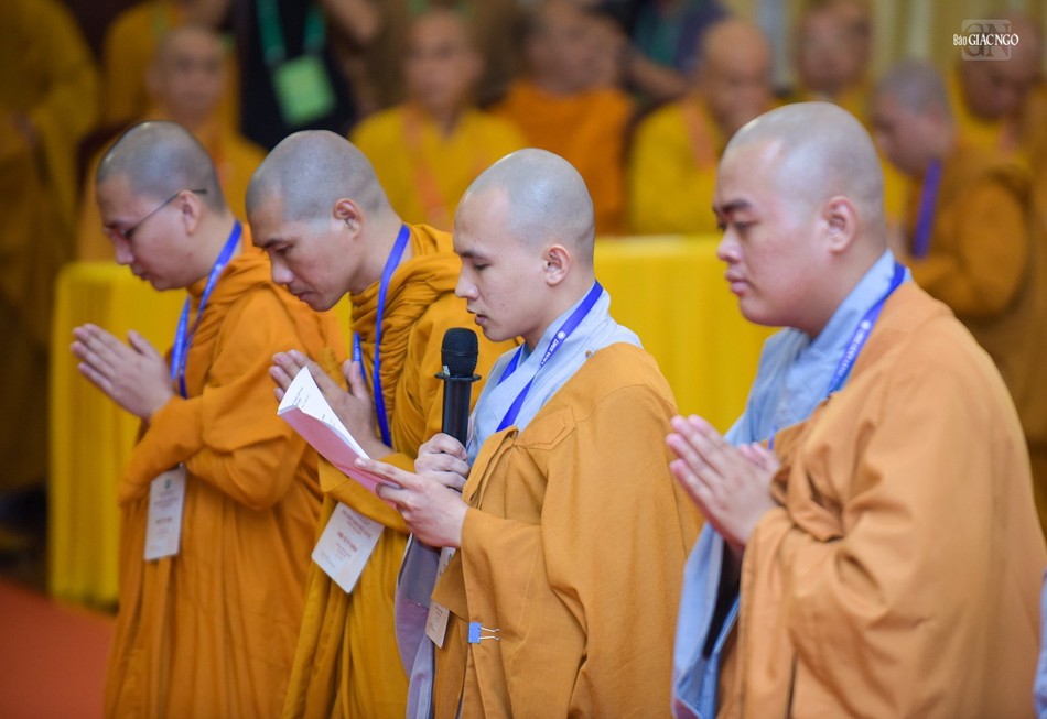 Đại diện tất cả các giới tử phát nguyện