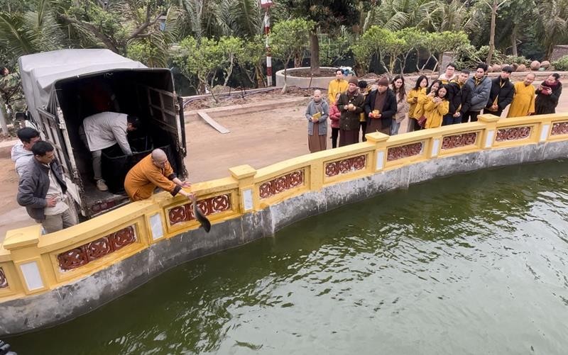 Phóng sinh trong không viên chùa Minh Ngộ