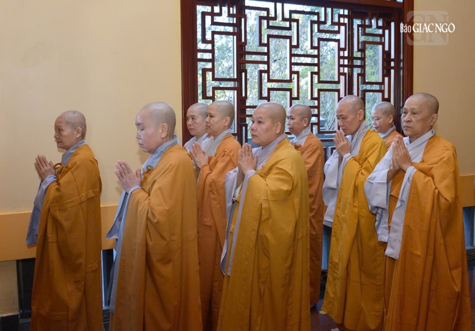 Chư Ni Phân ban Ni giới TP.HCM Chư Ni Phân ban Ni giới TP.HCM