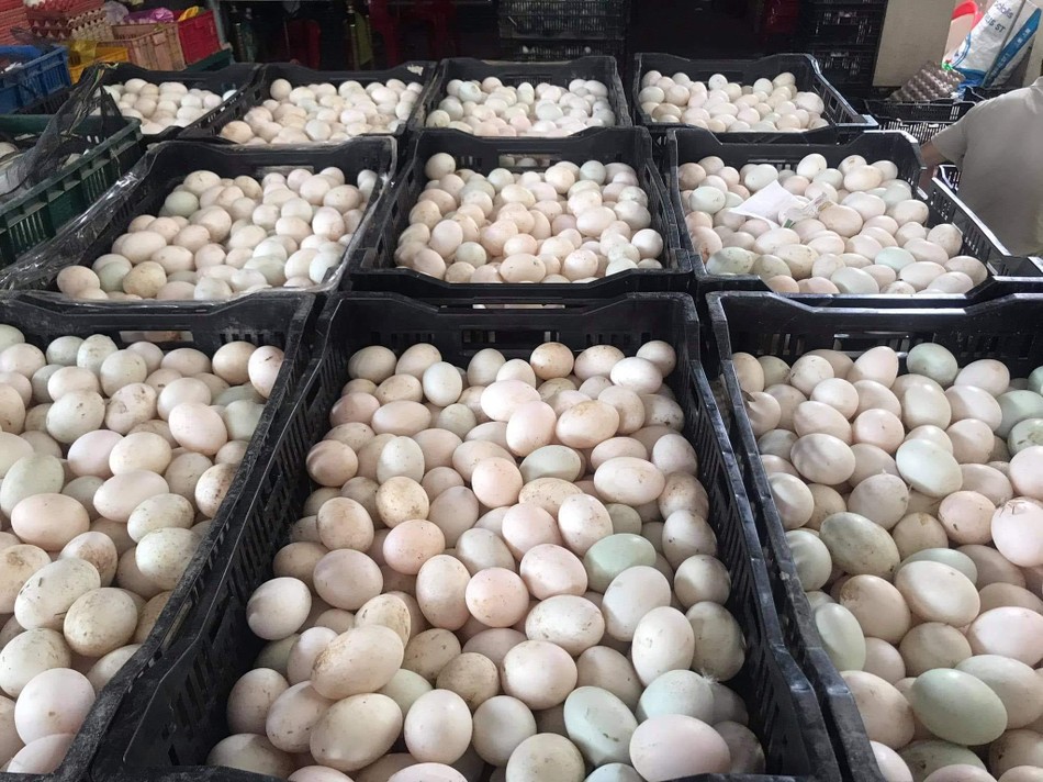 Những quả trứng vịt nhà nuôi - Ảnh: NA Những quả trứng vịt nhà nuôi - Ảnh: NA
