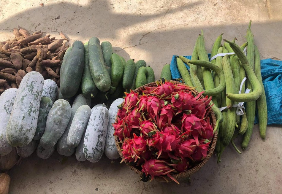 Những món quà quê thơm thảo - Ảnh: NA Những món quà quê thơm thảo - Ảnh: NA