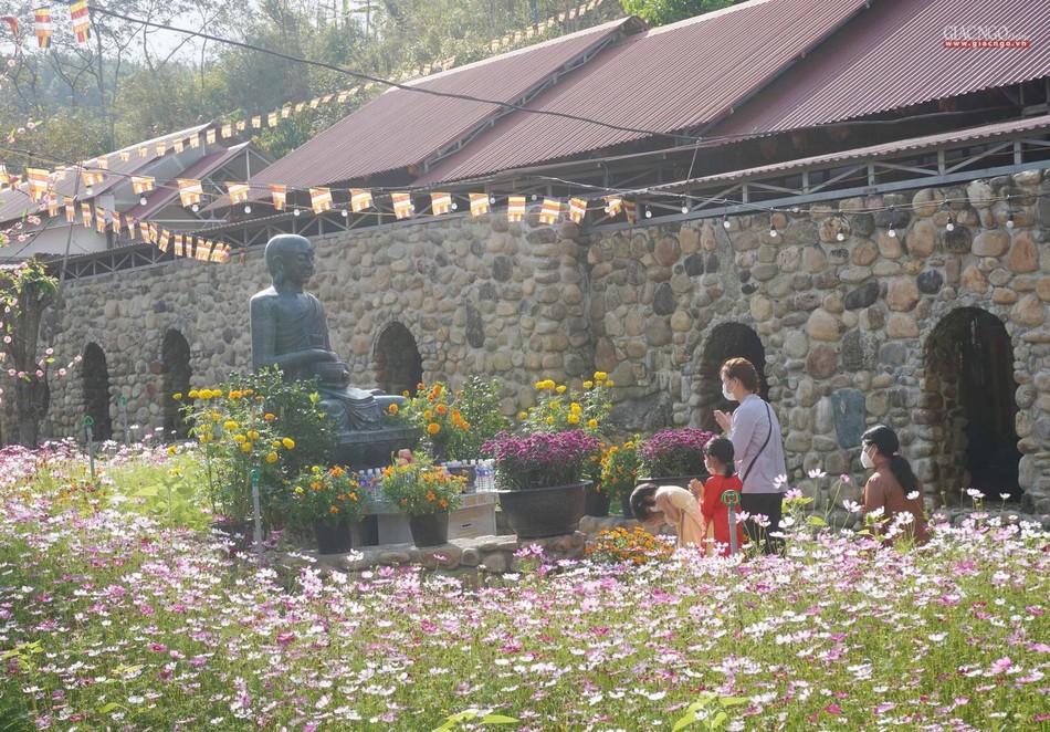 Lung linh trong ánh nắng sớm mùng 1 Tết Lung linh trong ánh nắng sớm mùng 1 Tết