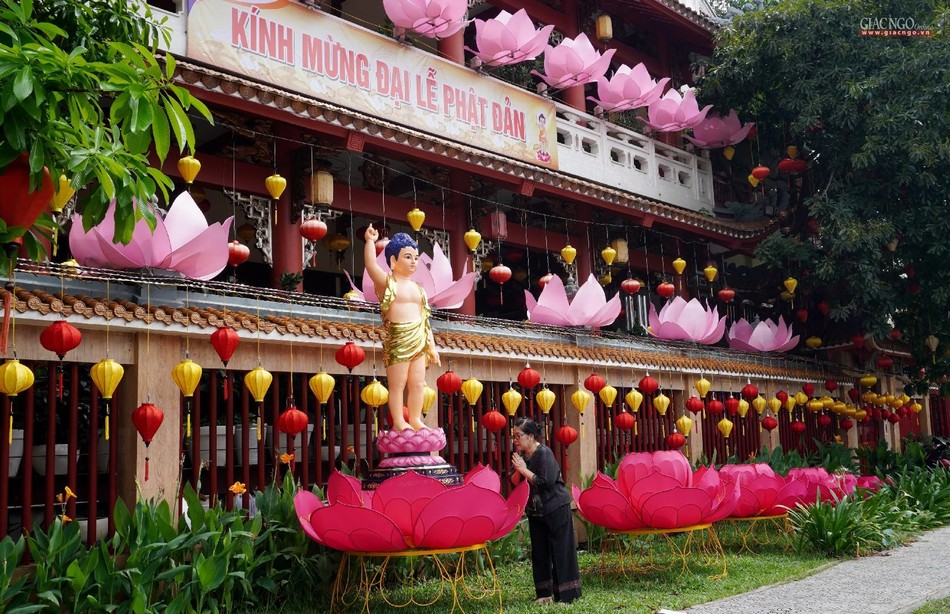 Tôn tượng Phật đản sanh được thiết trí trong khuôn viên chùa