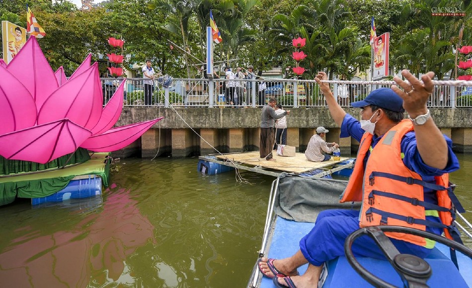 Anh Kiên, một trong những tình nguyện viên đang cố định lại các hoa sen