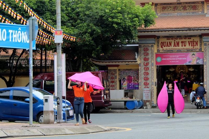 Mỗi hoa sen gồm 24 cánh sen