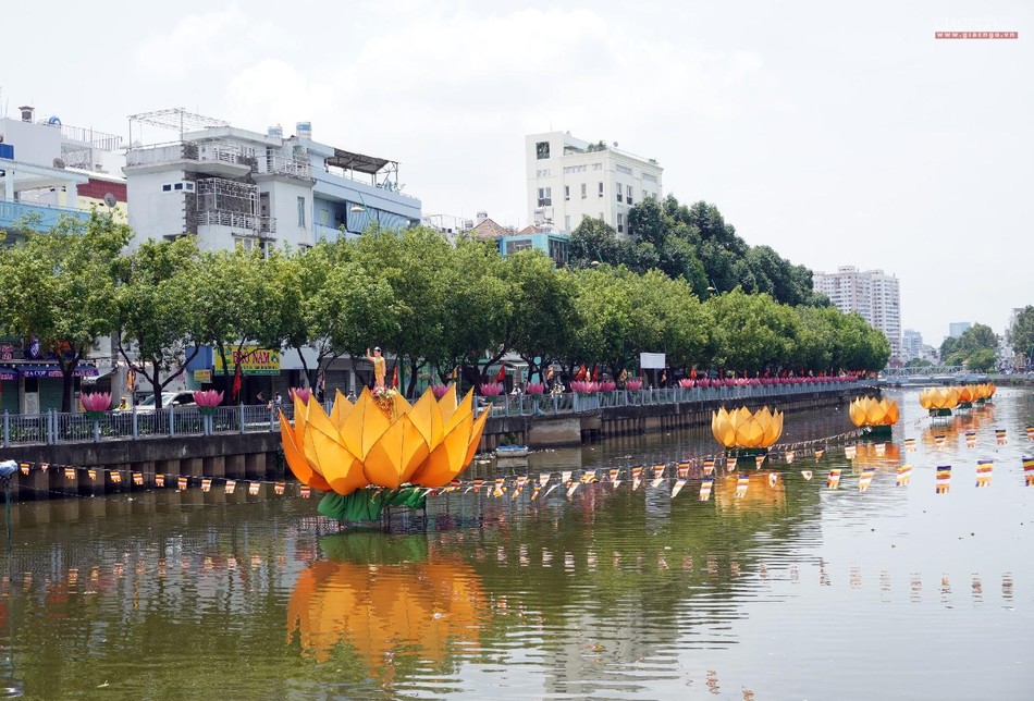 7 đóa sen vàng trên Kênh Nhiêu Lộc do chùa Giác Uyển (quận Phú Nhuận) thiết trí
