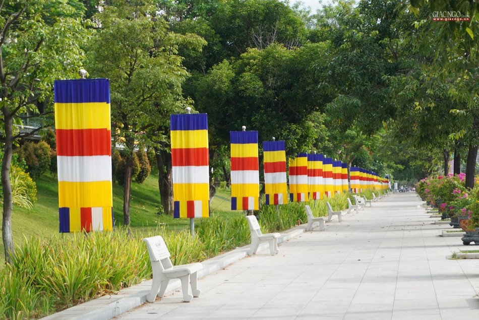 Cờ treo rợp xung quanh nơi diễn ra đại hội