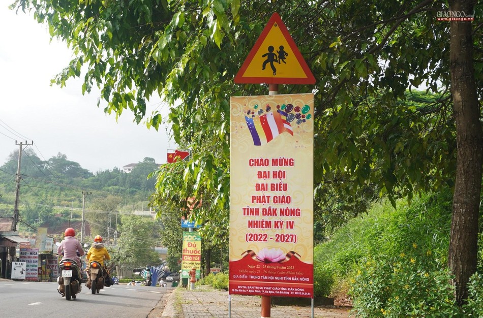 Pano trên đường Nguyễn Tri Phương