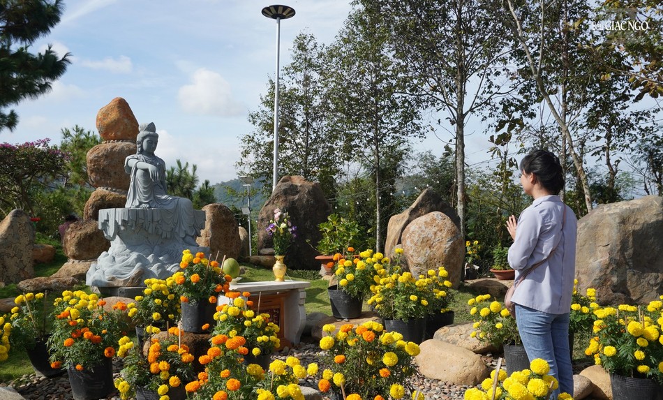 Cầu bình an đến muôn loài