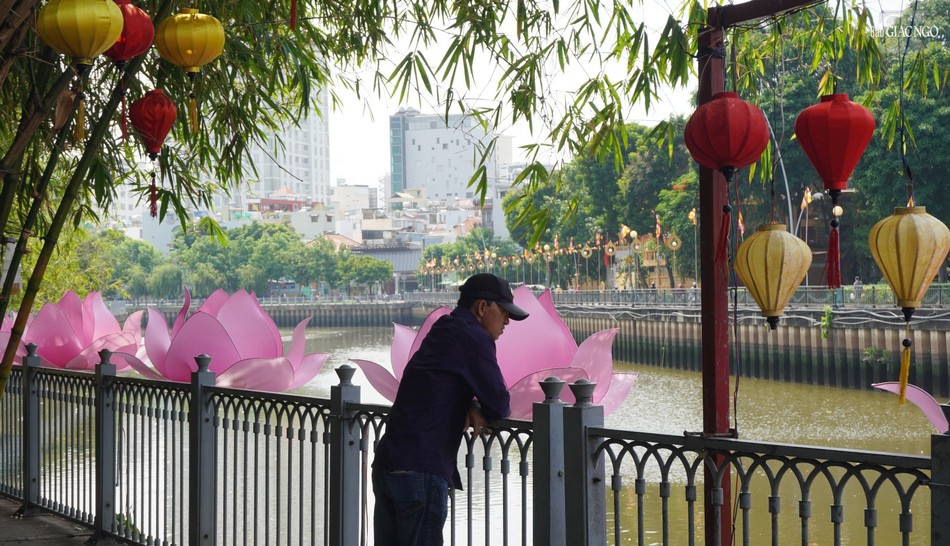 Người đi đường thích thú dừng chân