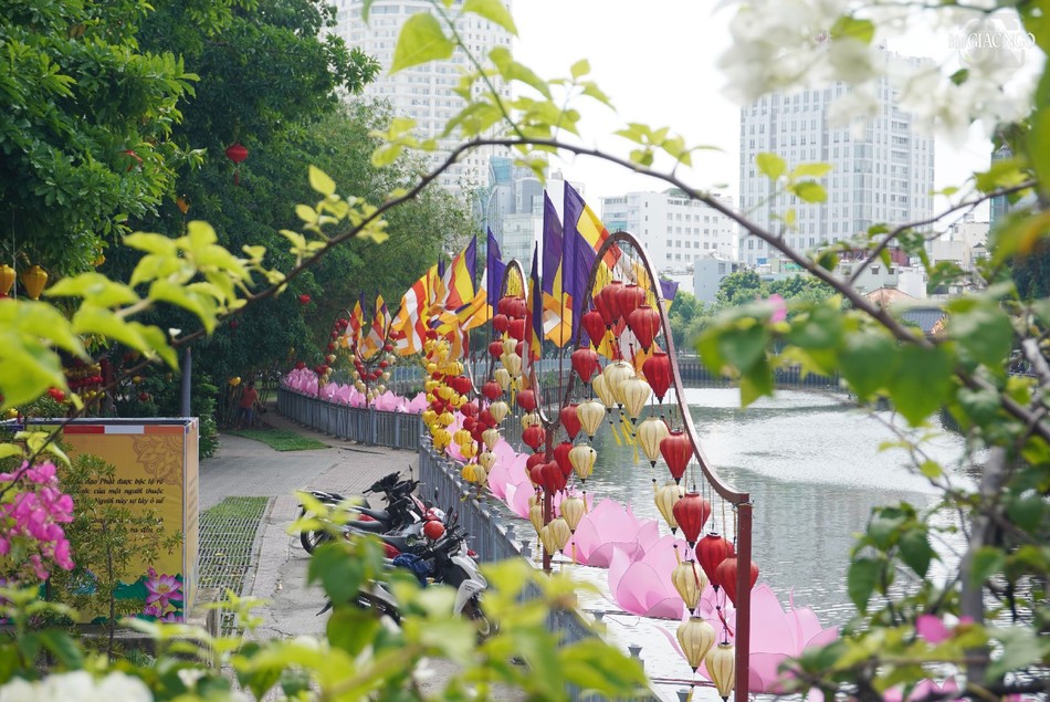 Rực rỡ cờ Phật giáo, hoa sen, lồng đèn
