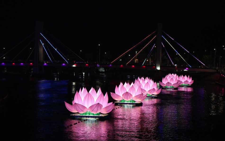 Lần đầu tiên 7 đóa sen hồng xuất hiện trên sông Cà Ty vào mùa Phật đản Phật lịch 2567